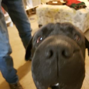 Meet your Posher, Virginia